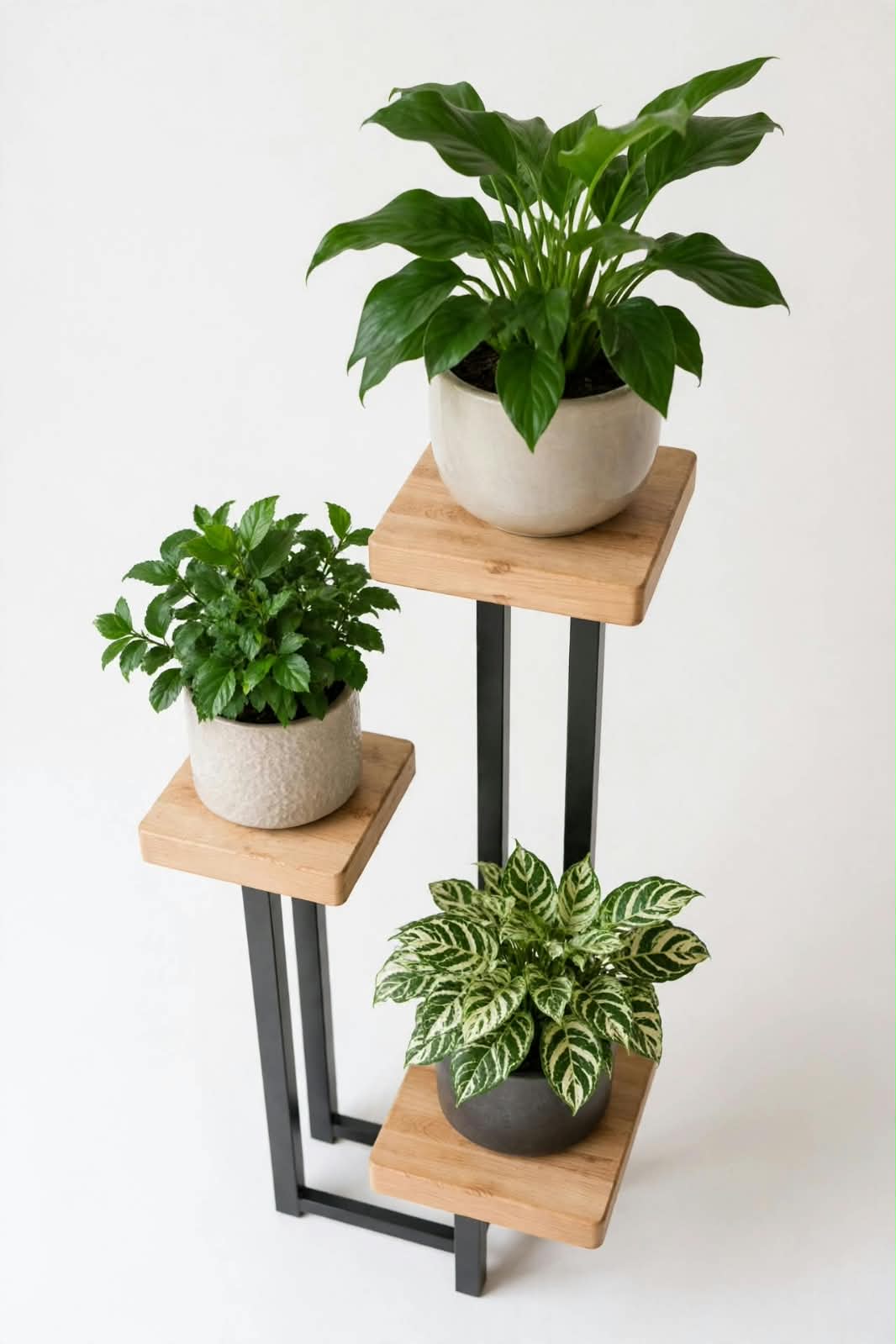 Plant Stand