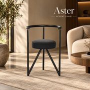 Aster Accent Chair