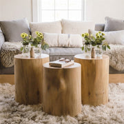 Live Edge Wood Log