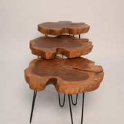Live Edge Coffee Table