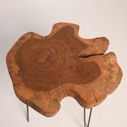 Live Edge Coffee Table