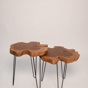 Live Edge Coffee Table