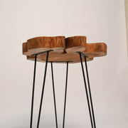 Live Edge Coffee Table