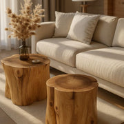 Live Edge Wood Log