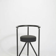 Aster Accent Chair