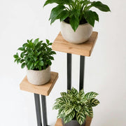 Plant Stand